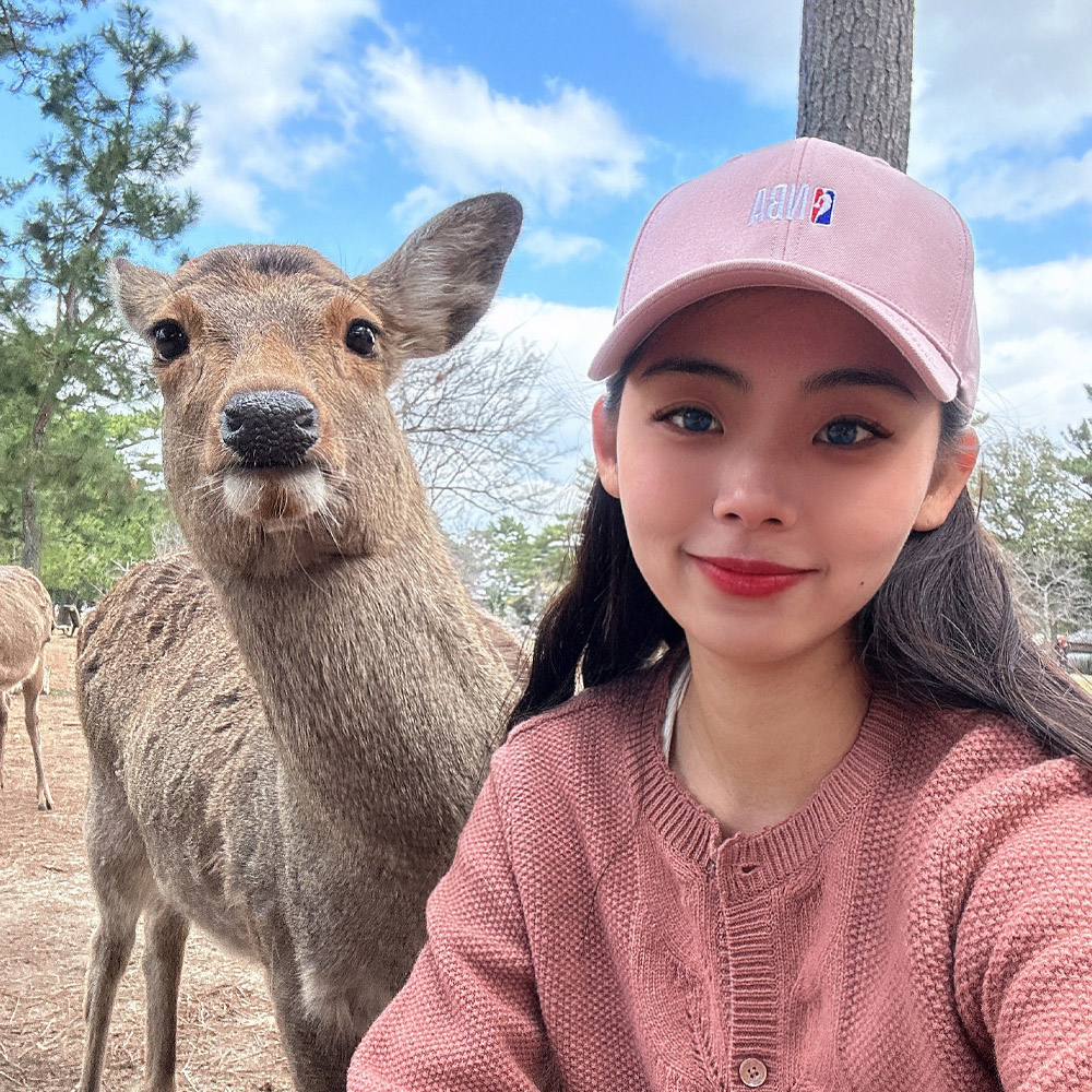 [유투어 버스] 오사카 나라/ 나라 사슴 공원 동대사N아라시야마N청수사 1일 버스투어 한국가이드